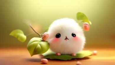 Cute:Wlt1zjjr8ju= Background Wallpaper