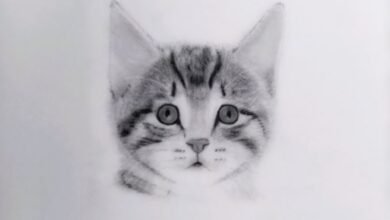 Drawing:Vpier3s64be= Cute:Vpier3s64be= Cat