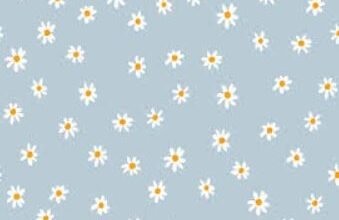 Aesthetic:9i96vyvmfqi= Pretty Wallpapers