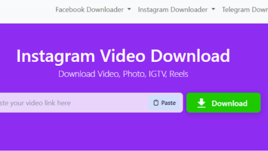 Free Instagram Downloader – Download IGTV, Videos, and Reels Easily