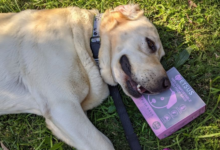 Dog Poop Bags
