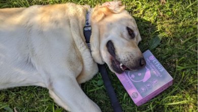 Dog Poop Bags
