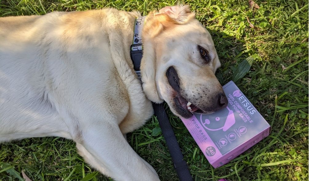 Dog Poop Bags
