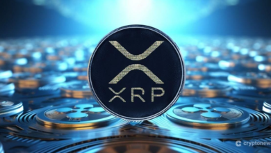 What Makes the XRP Price Calculator So Important for Crypto Traders