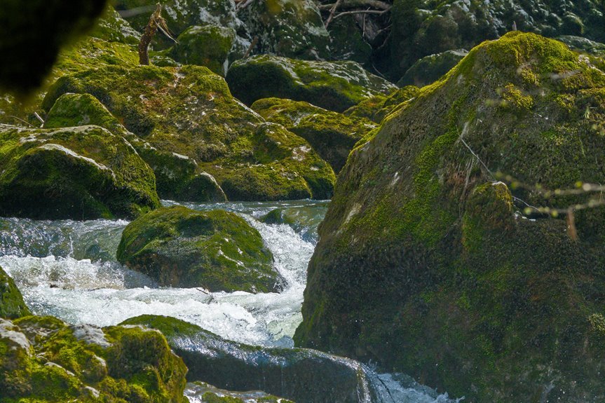 critical growth data analysis