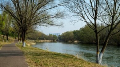 data analysis for growth