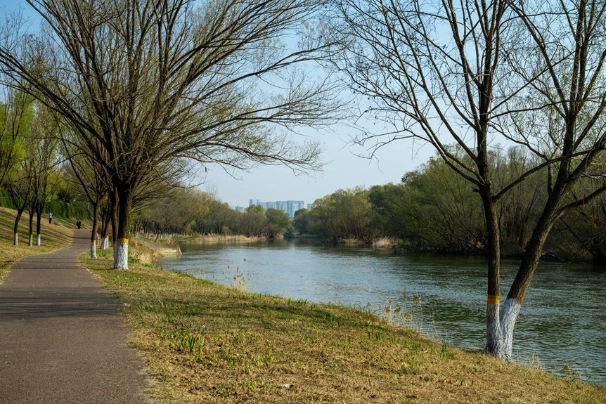 data analysis for growth