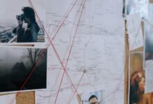 sector analysis findings revealed